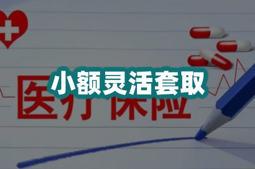 小额灵活套取